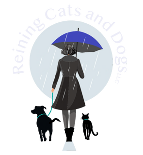 Reining Cats and Dogs