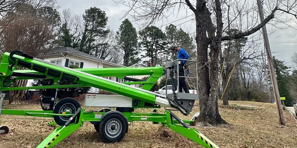Arborist using a mobile lift for high-reach tree pruning and removal at residential property in Wins