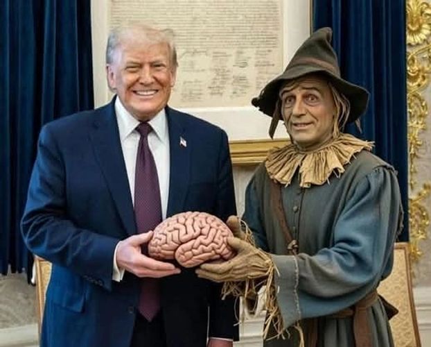 Scarecrow from The Wizard of OZ gives Trump his brain...