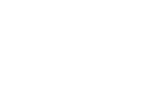 The HR Allies