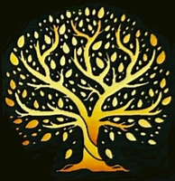 Trees of Life Colorado