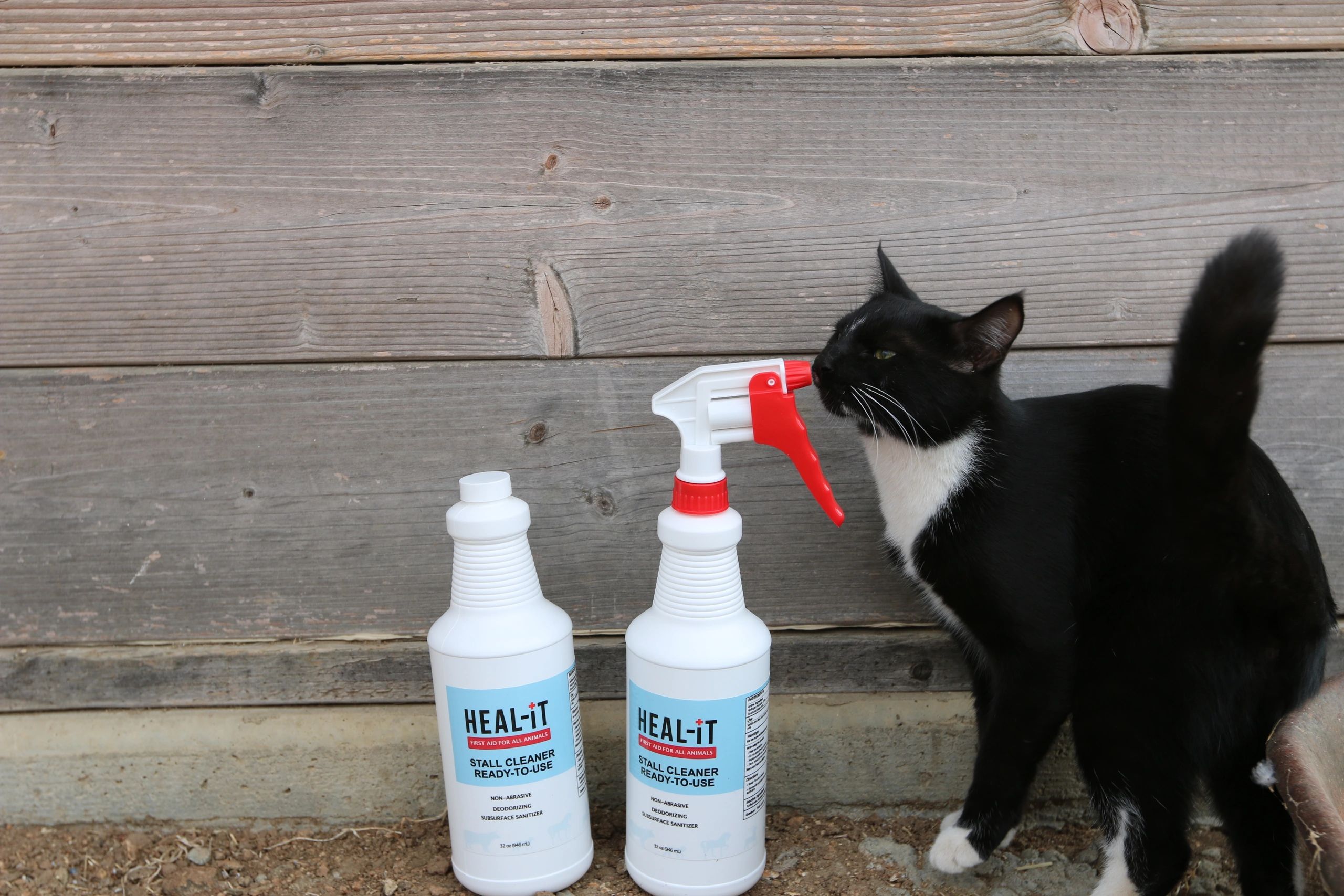 Barn cat sniffing Heal-iT Stall Cleaner