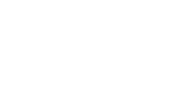 EagleEye Cybersecurity Solutions