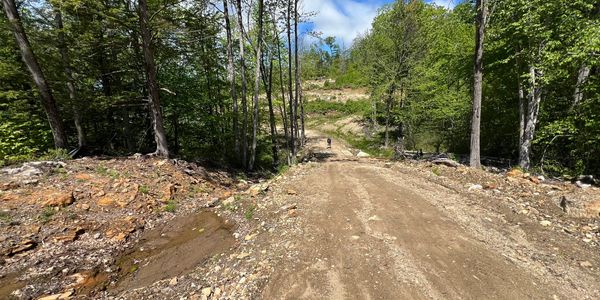 Plowed land