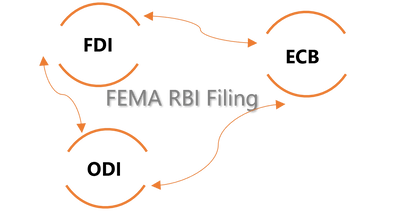 RBI FEMA FLA return, FCGPR, FCTRS under FDI and ECB related filing