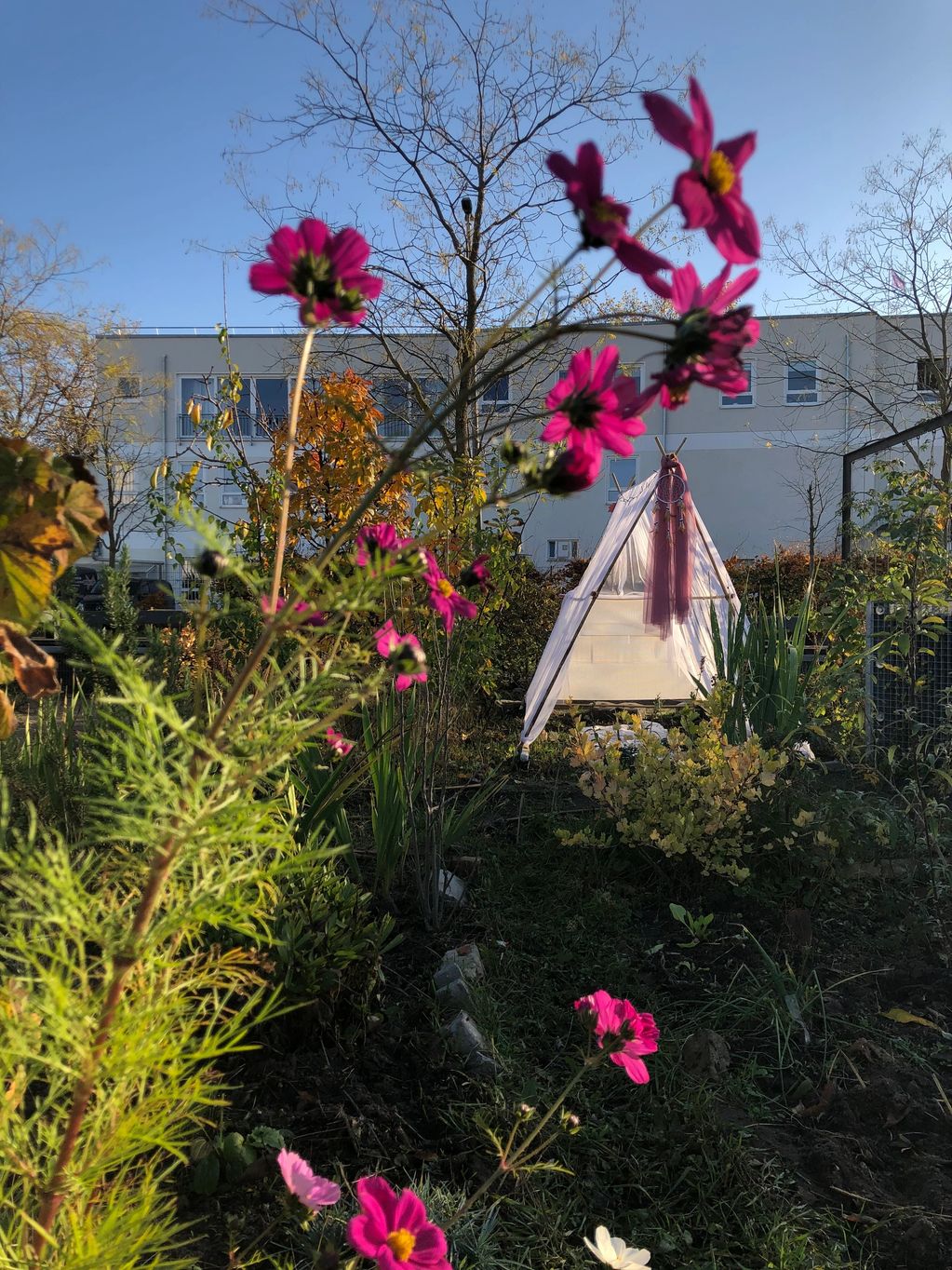 The Ókakò r’Évu (plant womb) installation in Moabit Garten, Berlin.