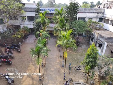 A courtyard with palm trees, bicycles, and parked motorcycles around buildings.