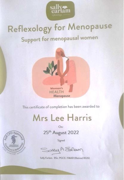 Reflexology  Holistic Lee