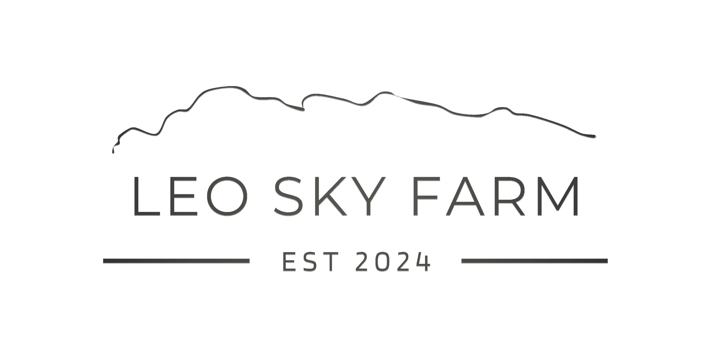 Experiences and Packages at Leo Sky - Come Explore!