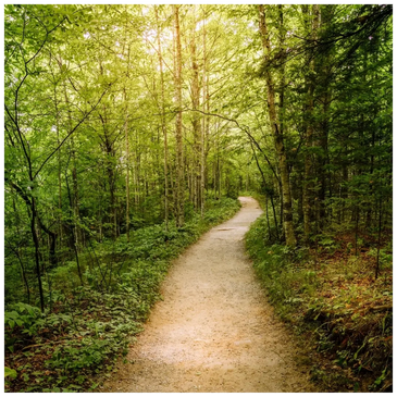 See What You’ve Missed