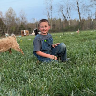 A boy sitting in tall grass with animals around him.
