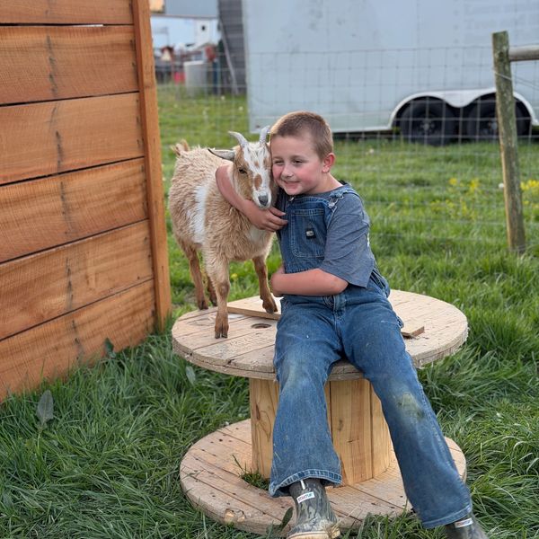 A boy in overalls hugs a small goat on a wooden spool in a grassy yard.