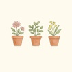 The Flower Pot