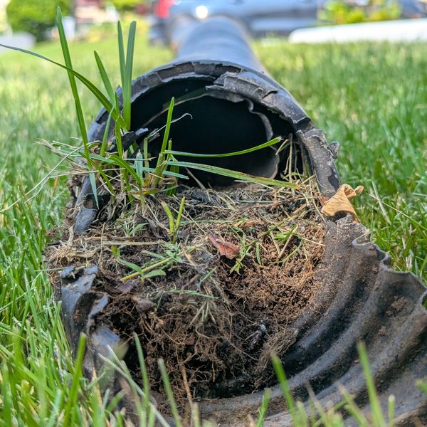 Grass and dirt filled downspout pipe causing water back flow.