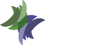 TOPZ LAWN & SNOW