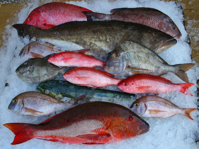 Mayport C&C Fisheries Fresh Fish, Fresh Seafood