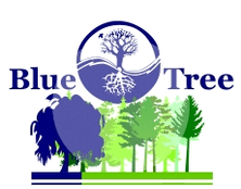 Blue Tree Educational Services