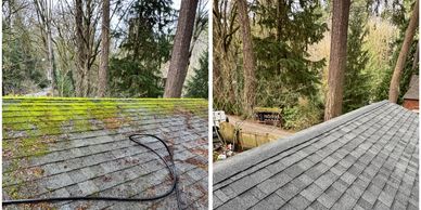 Roof Cleaning