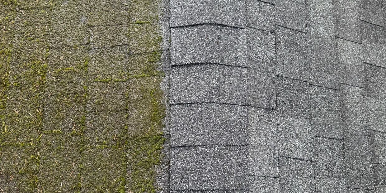 Roof Cleaning