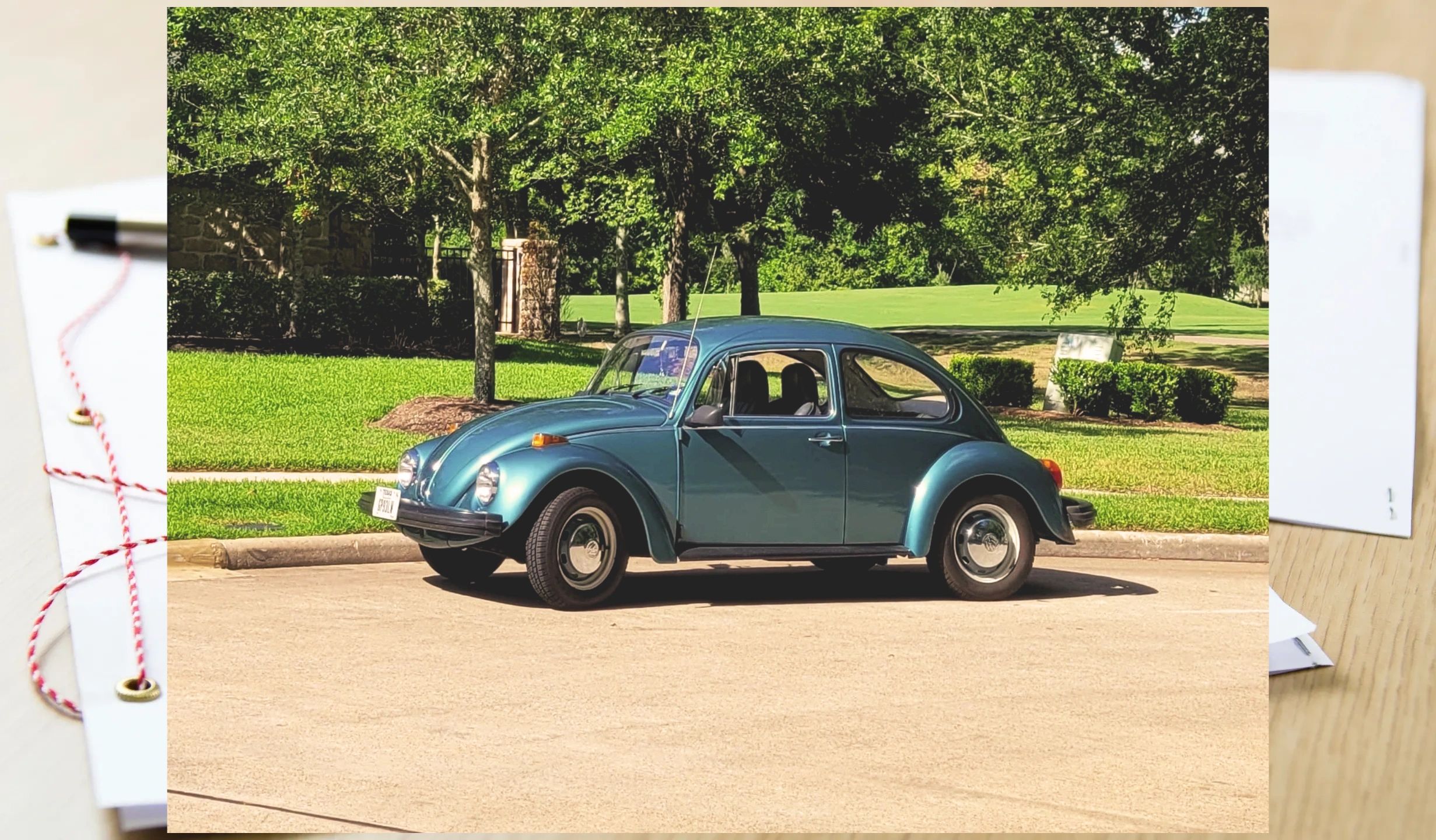 Mobile Notary Texas Notary Bug LLC