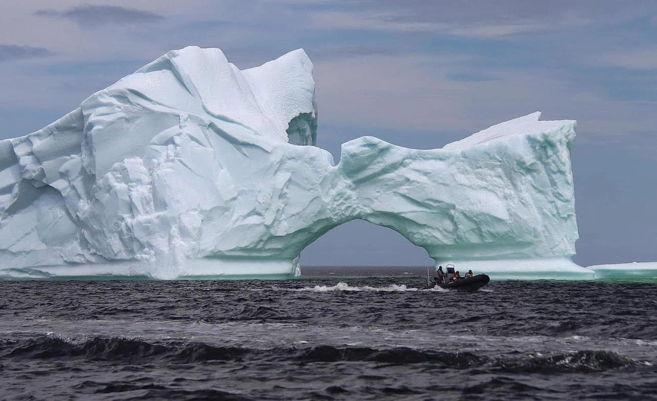 Friday’s Bay Zodiac Boat Tours