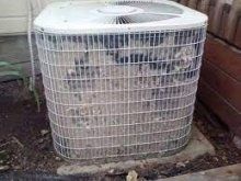 An extreme example of a dirty Air Conditioner unit!