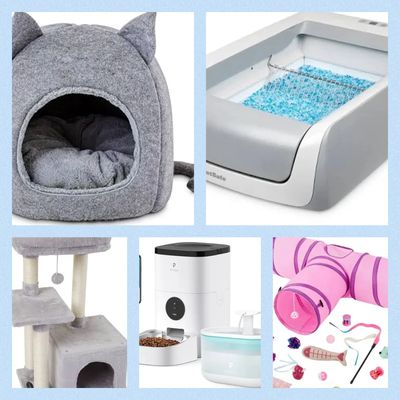 Cat Bed, Litter Box, Cat Tower, Cat Feeder and Cat Water Fountain. Cat Tunnel and Cat toys