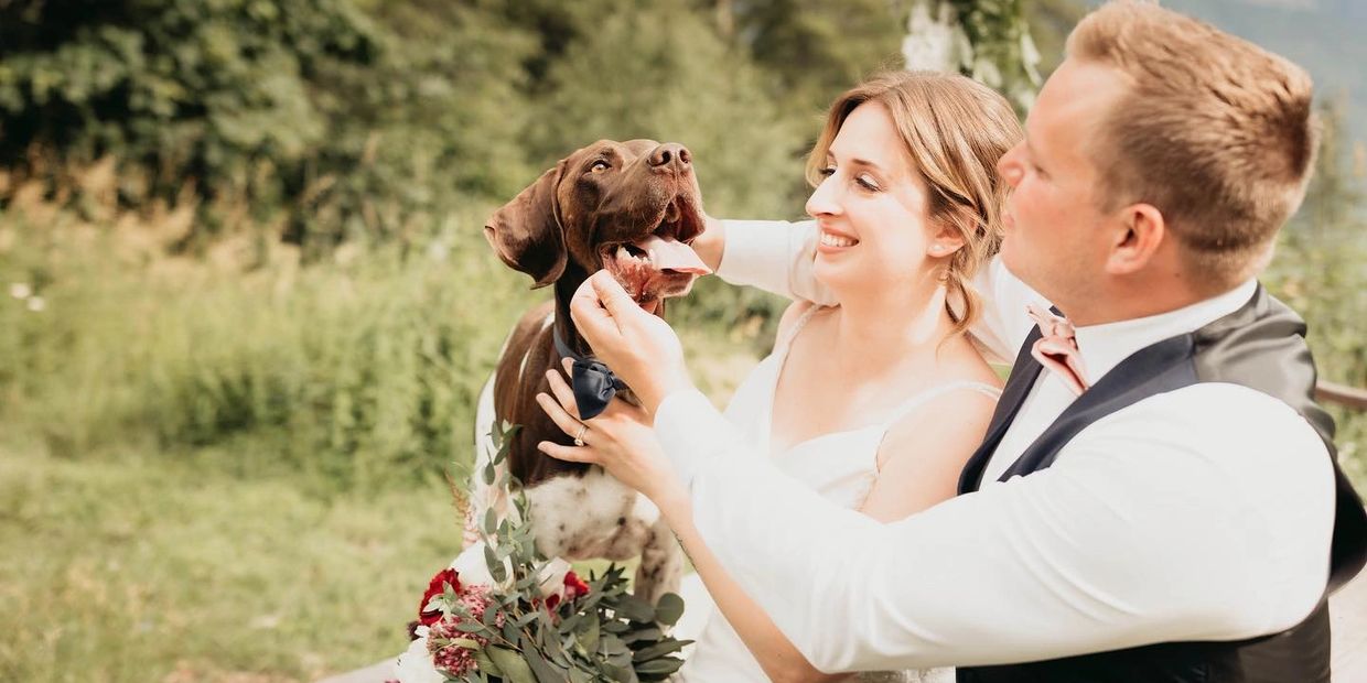 Steven and Marissa Weir with they German Shorthaired Pointer Mixon on their wedding day