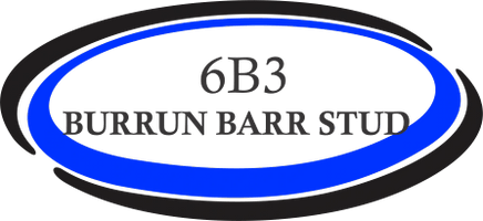 Burrun Barr Stud        