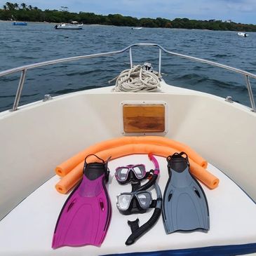 Half Day Snorkeling Tour