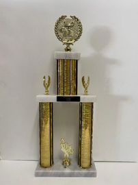 academic trophy