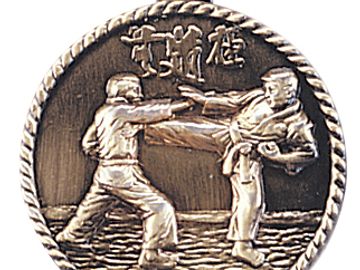 karate medal