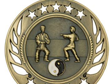 martial arts medals