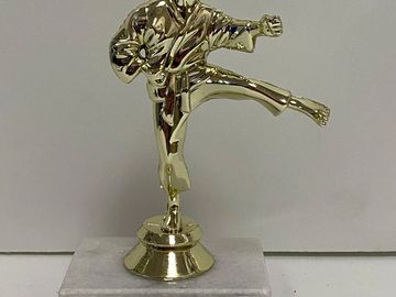 martial arts trophy
