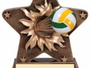volleyball award