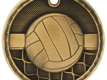 volleyball medal