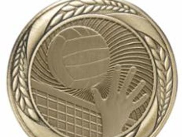 volleyball medal