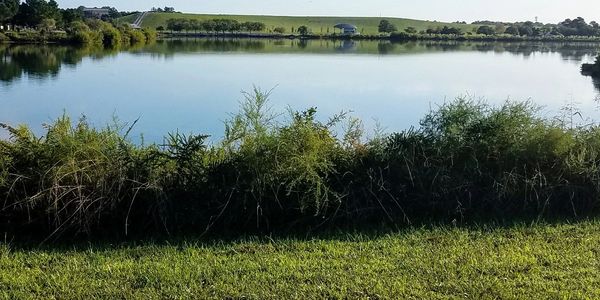The Lake at Mount Trashmore.