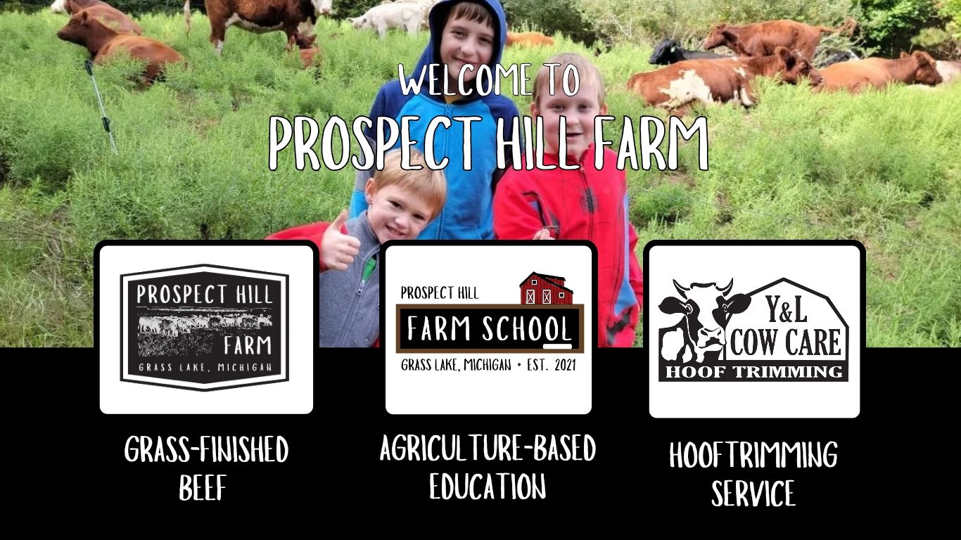 We are a 
BEEF FARM, A FARM SCHOOL, A HOOF TRIMMING SERVICE 