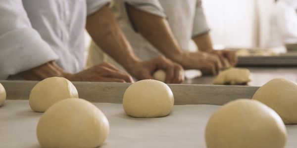 Congelados santa leña