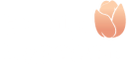Tulip Typeset
