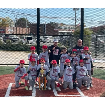 travel baseball teams long island