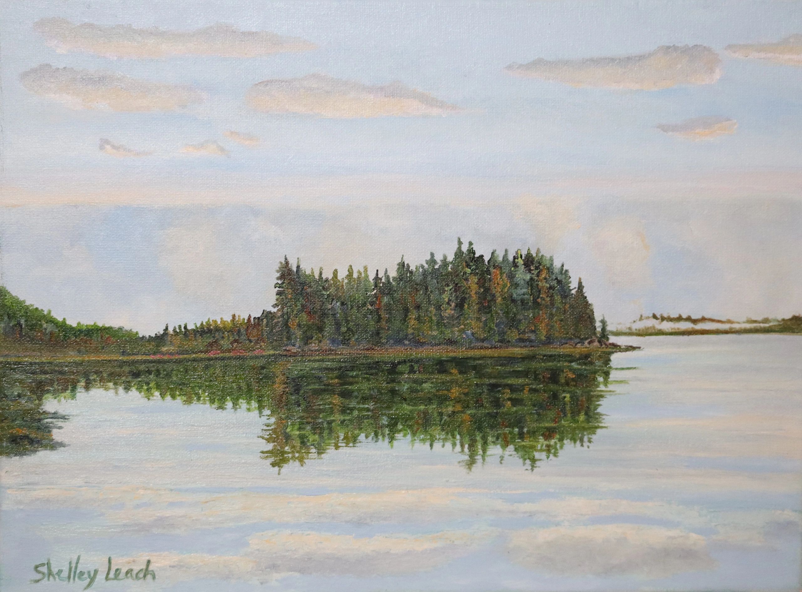 original artwork Shelley Leach