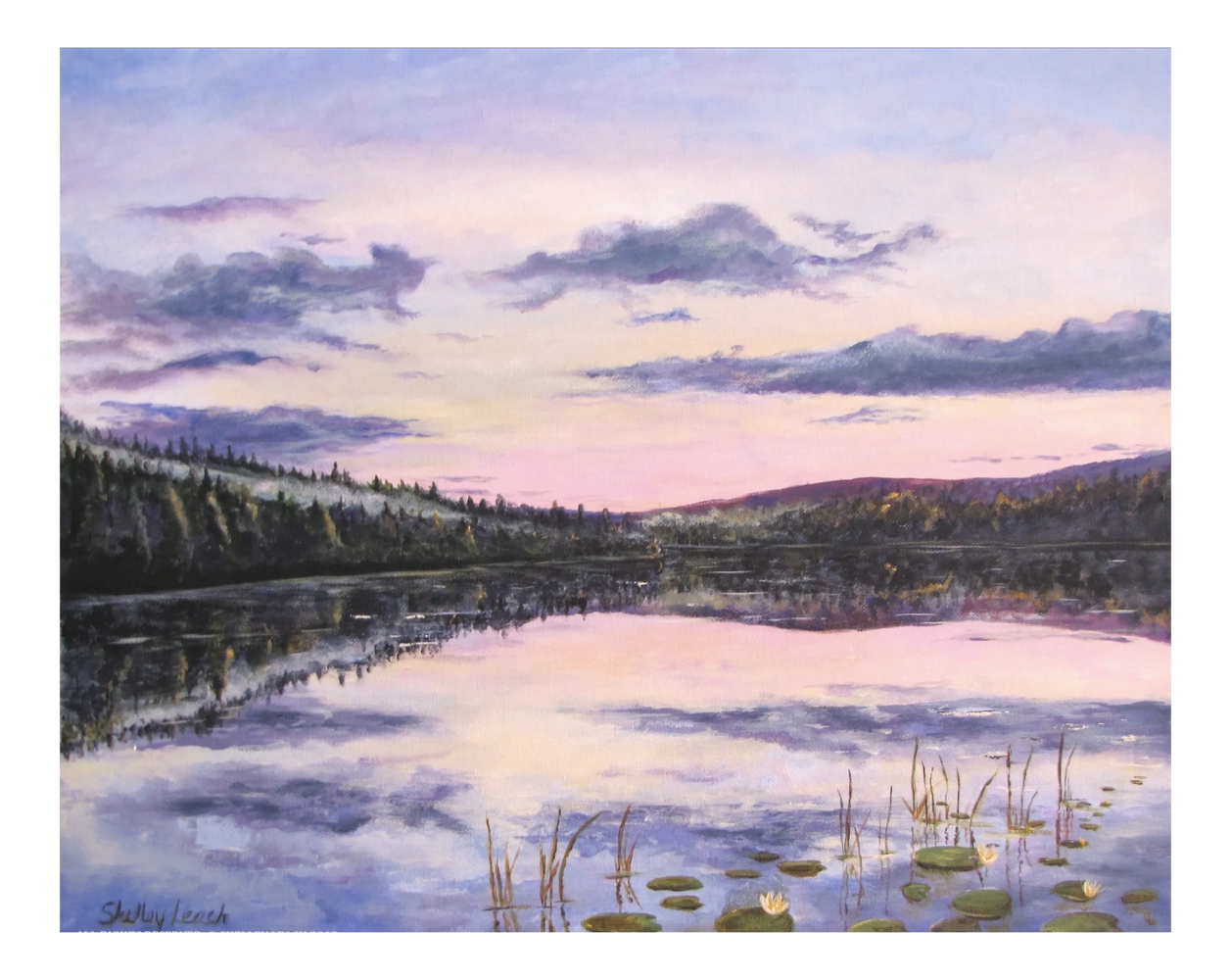 copyright Shelley Leach 2026