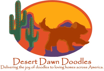 Desert Dawn Doodles