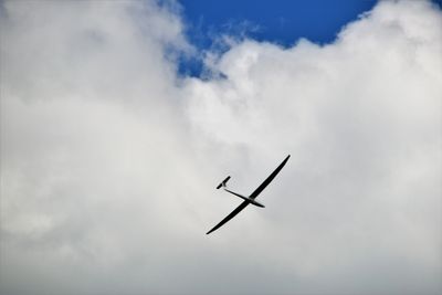 Sailplane flying in front of some bright white clouds.