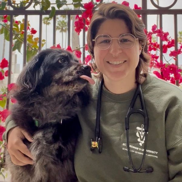 Description coming soon!