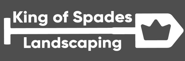 King of Spades