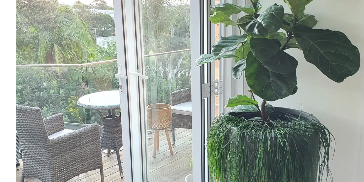 Landscaping King of Spades