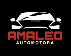 Logo de automotoraamaleo.cl